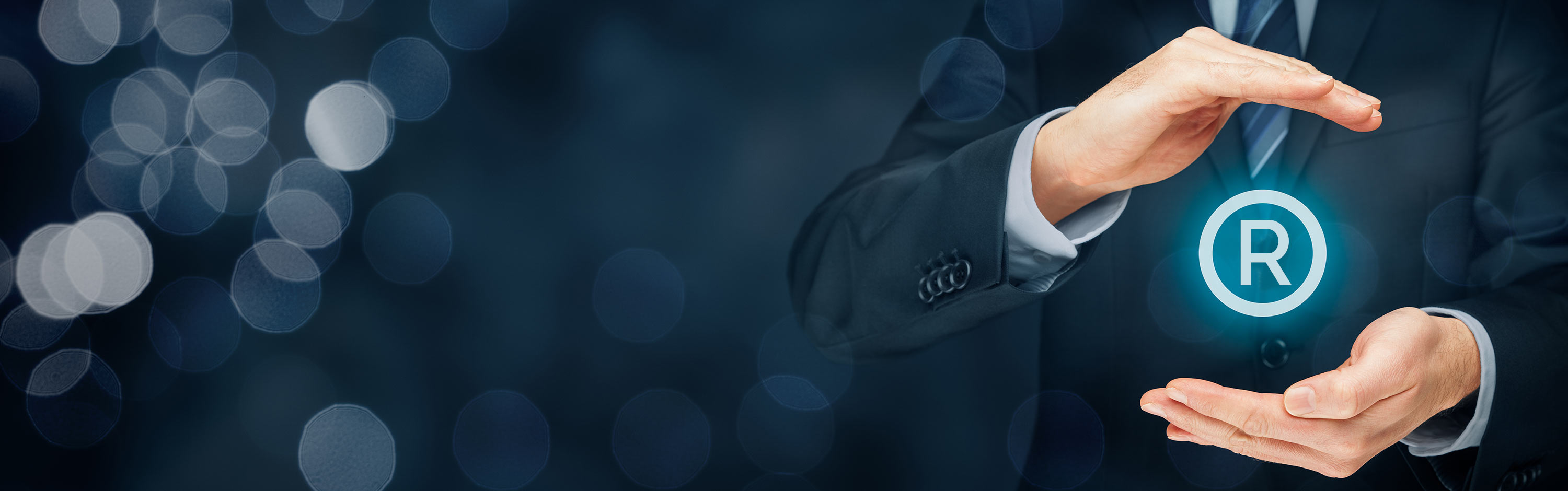 to Armadillo Business Information